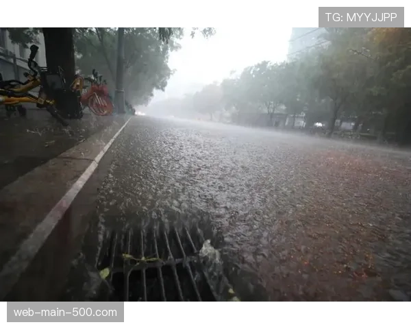 气象预报显示本轮意甲多地暴雨，场地条件或成比赛变数